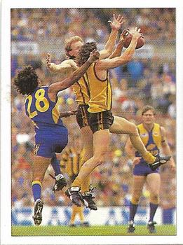 1992 Select AFL Stickers #259 Brett Heady / Chris Mew Front